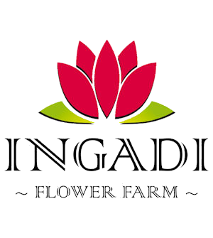 Ingadi Flower Farm