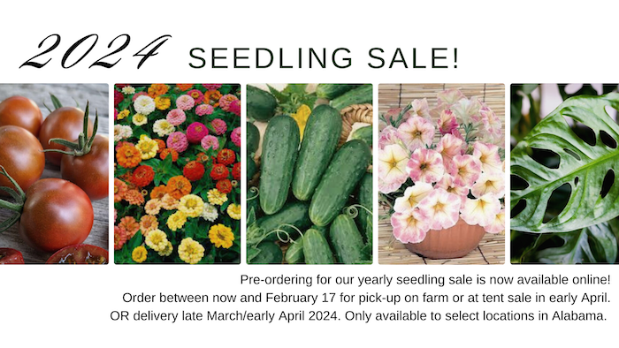 2024 Ingadi Seedling Sale   2024 Seedling Sale Heading Small 